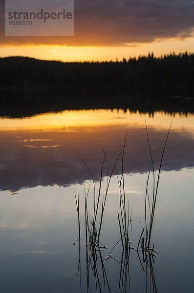 Wasser Sonnenuntergang