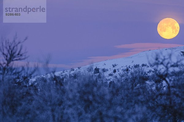 Winter Landschaft über Mond voll