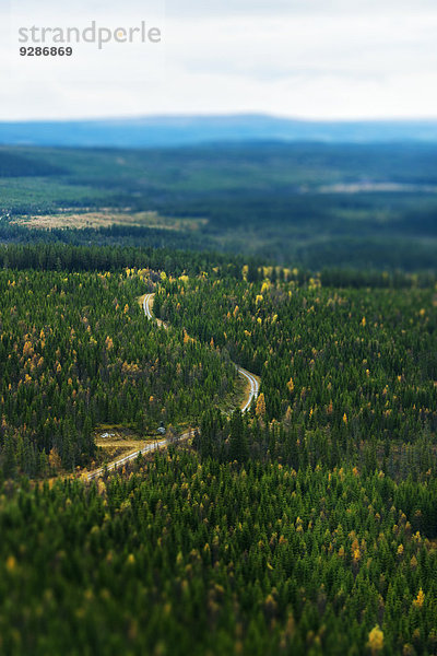 gehen Fernverkehrsstraße Wald Ansicht Luftbild Fernsehantenne