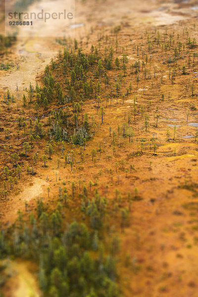 Landschaft Herbst Ansicht Luftbild Fernsehantenne