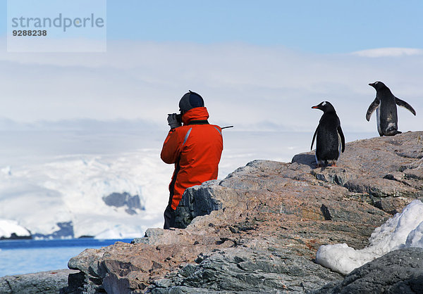 Eine Person in einer orangefarbenen Jacke  die die Landschaft der Antarktischen Halbinsel fotografiert und von zwei Eselspinguinen beobachtet wird.