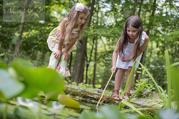 Zwei Mädchen spielen an einem Teich in einem Wald.