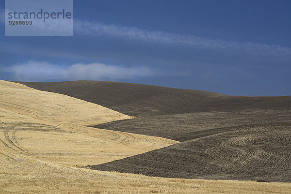 Die Umrisse von landwirtschaftlich genutztem Land im Bezirk Palouse  Bundesstaat Washington  USA