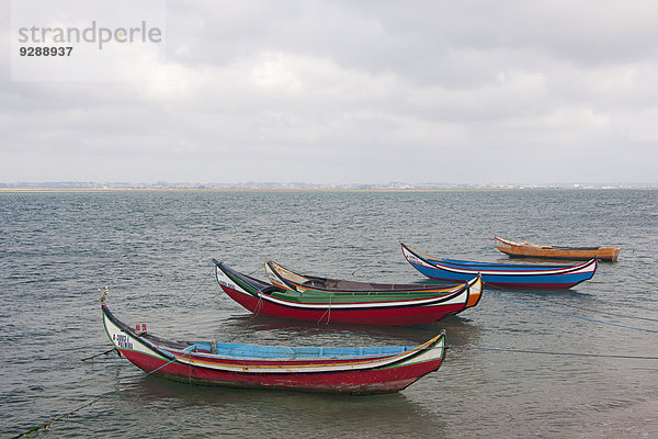 Traditionelle Moliceiros-Fischerboote mit hohen Bugspitzen  in lebhaften Farben bemalt  vor der Küste von Torreira festgemacht.