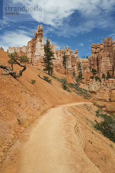 Sandsteinsäulen und eine Straße durch die Wüste.