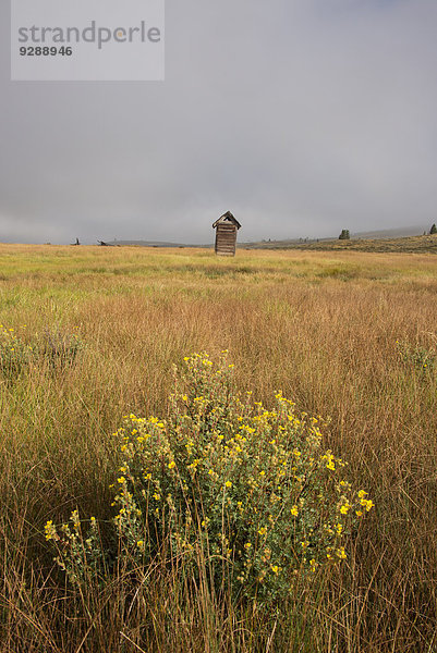 Eine Scheune in einer offenen Landschaft in Green River Lakes.