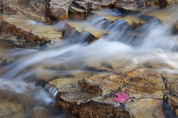 Über Felsen fließendes Wasser.