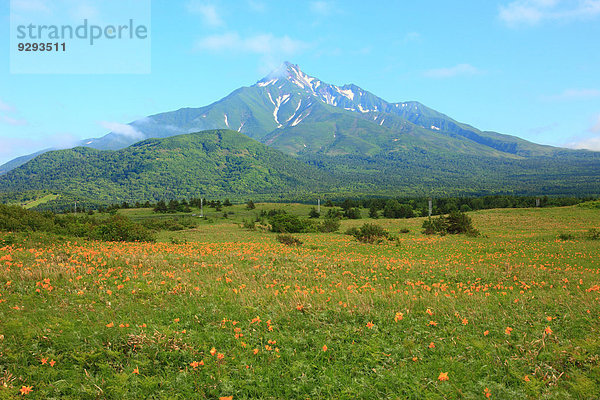 Hokkaido Japan