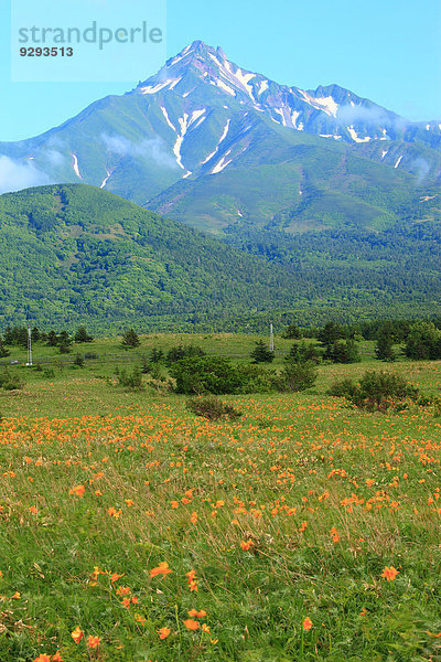 Hokkaido Japan