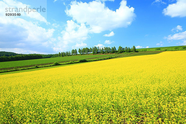 Hokkaido Japan