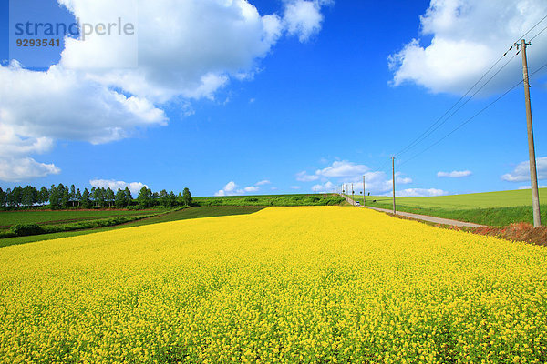 Hokkaido Japan