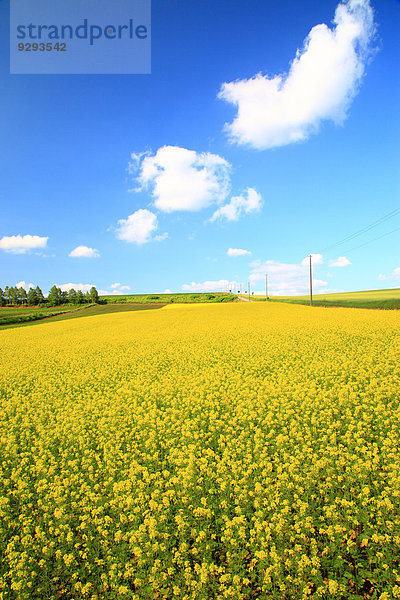 Hokkaido Japan