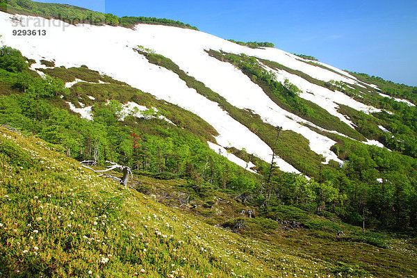 Hokkaido Japan