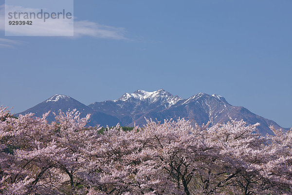 Japan Yamanashi Präfektur