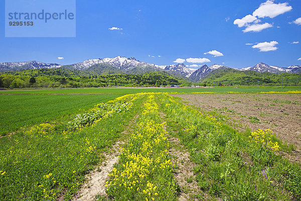 Hokkaido Japan