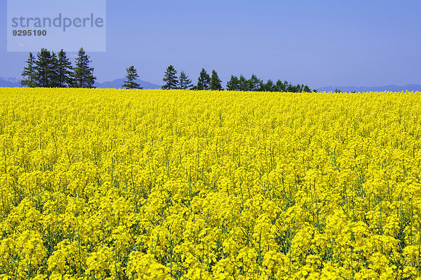 Hokkaido Japan