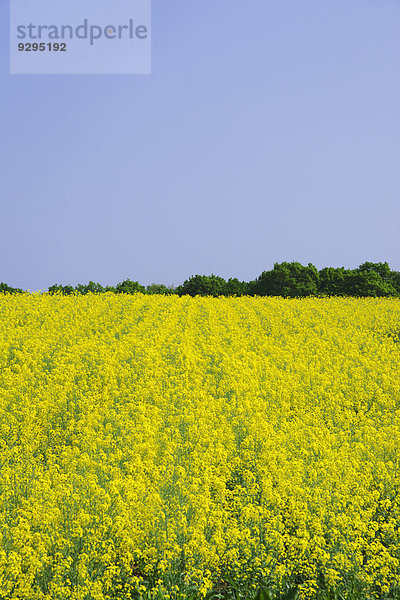 Hokkaido Japan