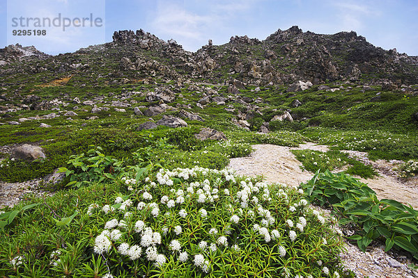 Hokkaido Japan