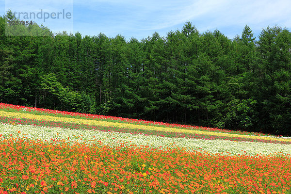 Hokkaido Japan