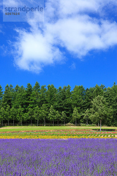 Hokkaido Japan