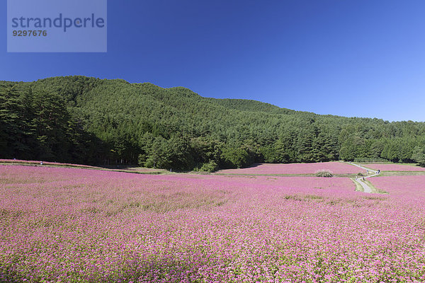 Nagano Japan