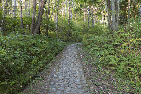 Nagano Japan