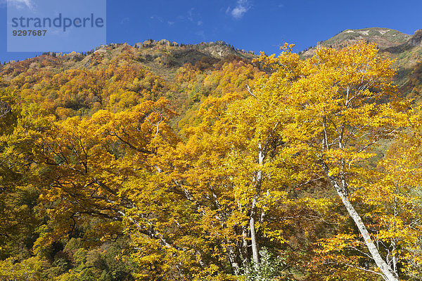 Nagano Japan