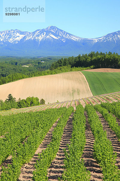 Hokkaido Japan