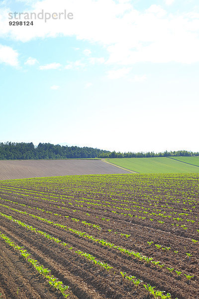 Hokkaido Japan