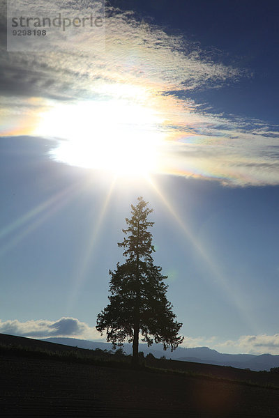 Hokkaido Japan