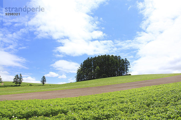 Hokkaido Japan