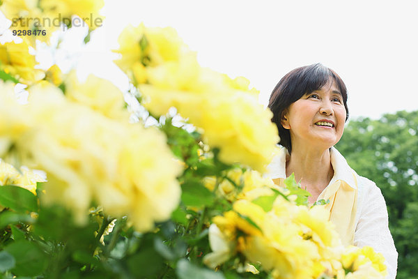 Senior Senioren Frau Erwachsener japanisch