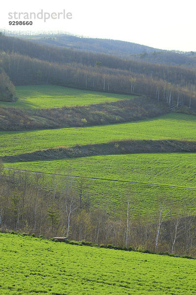 Iwate Japan