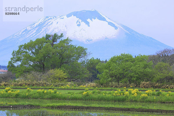 Iwate Japan