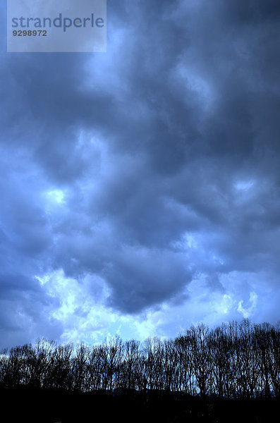 Wolke Baum Himmel