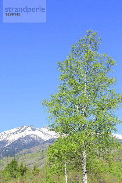 Nagano Japan