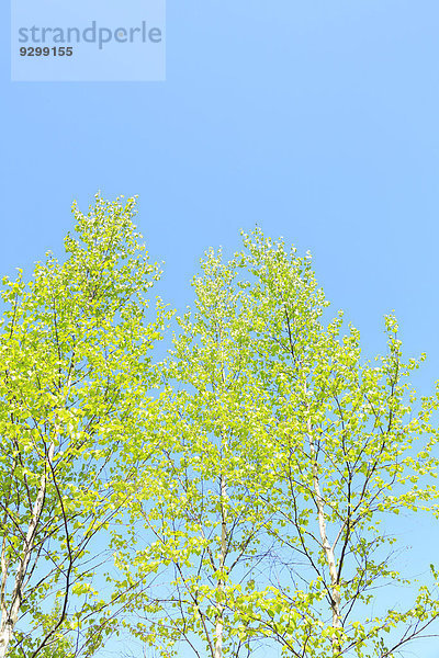 Nagano Japan