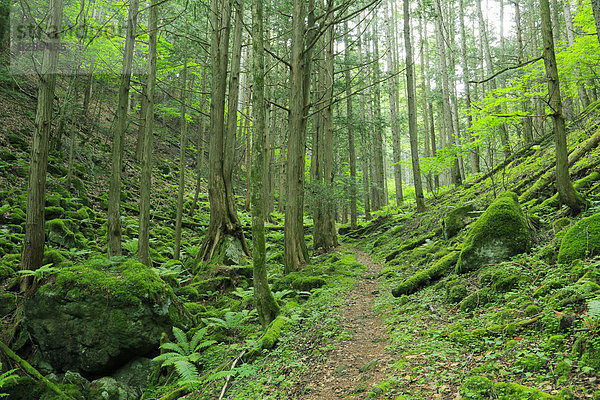 Nagano Japan