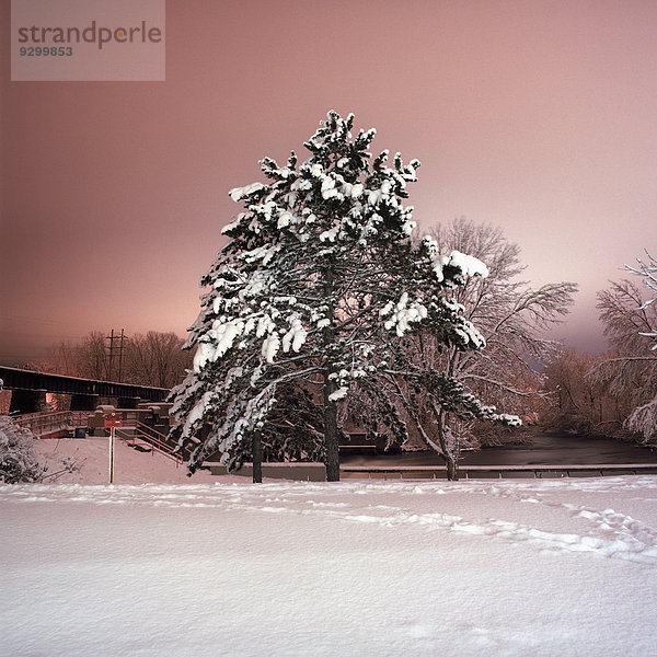 Eine verschneite Landschaft bei Nacht  lange Exposition