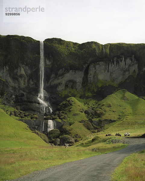 Ein Wasserfall in einer üppigen Landschaft  Djupivogur  Island