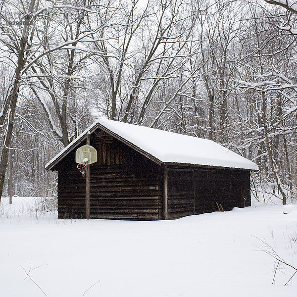 Ein Blockhaus in einem abgelegenen Waldgebiet