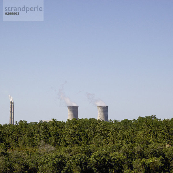 Ein Kernkraftwerk in der Ferne  Wald im Vordergrund