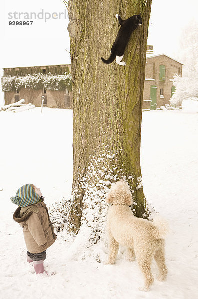 Katze klettert auf Baum  kleines Mädchen und portugiesischer Wasserhund beobachtend