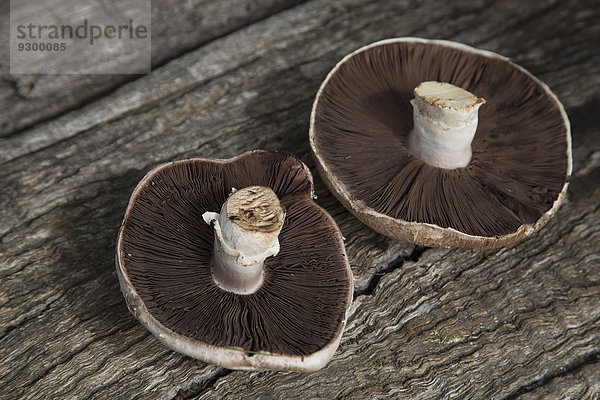 Frische Bio-Pilze auf Holz