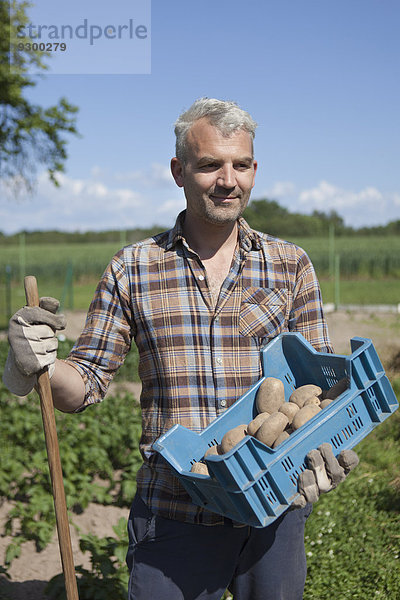 Reifer Mann mit Kiste mit geernteten Kartoffeln im Gemeinschaftsgarten