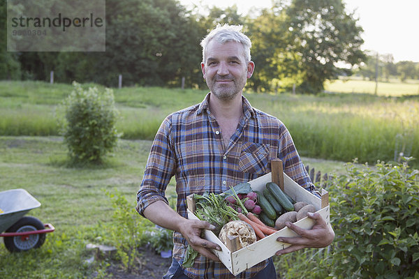 Porträt eines lächelnden  reifen Mannes mit einer Kiste frisch geernteten Gemüses im Garten.