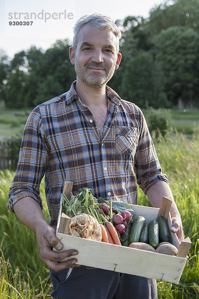 Porträt eines selbstbewussten  reifen Mannes mit einer Kiste frisch geernteten Gemüses im Garten.