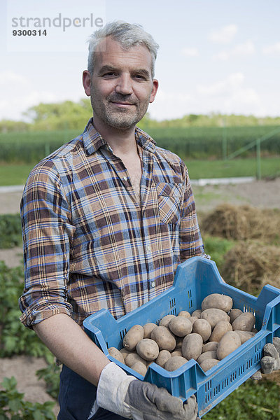 Porträt eines selbstbewussten Mannes  der eine Kiste mit geernteten Kartoffeln im Gemeinschaftsgarten trägt.