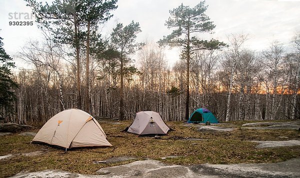 Drei Zelte auf der Waldlichtung