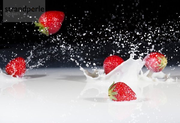 Frische Erdbeeren fallen lassen und in die Milch spritzen